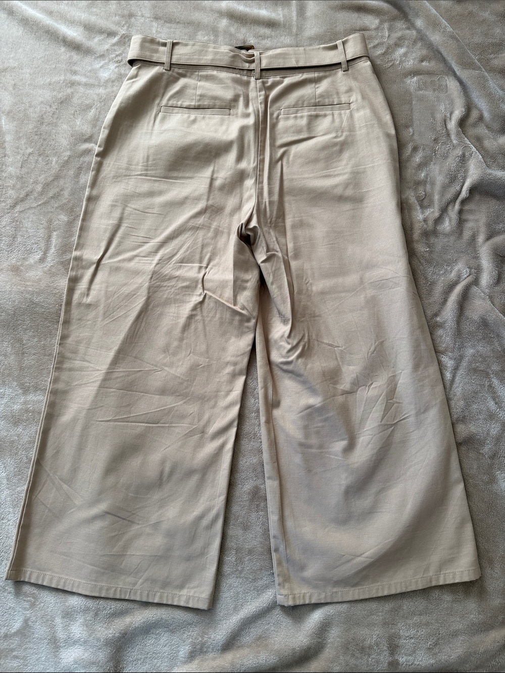 LOFT Tan High-Rise Wide Leg Ankle/Crop Pants with Belt - Picture 4 of 12